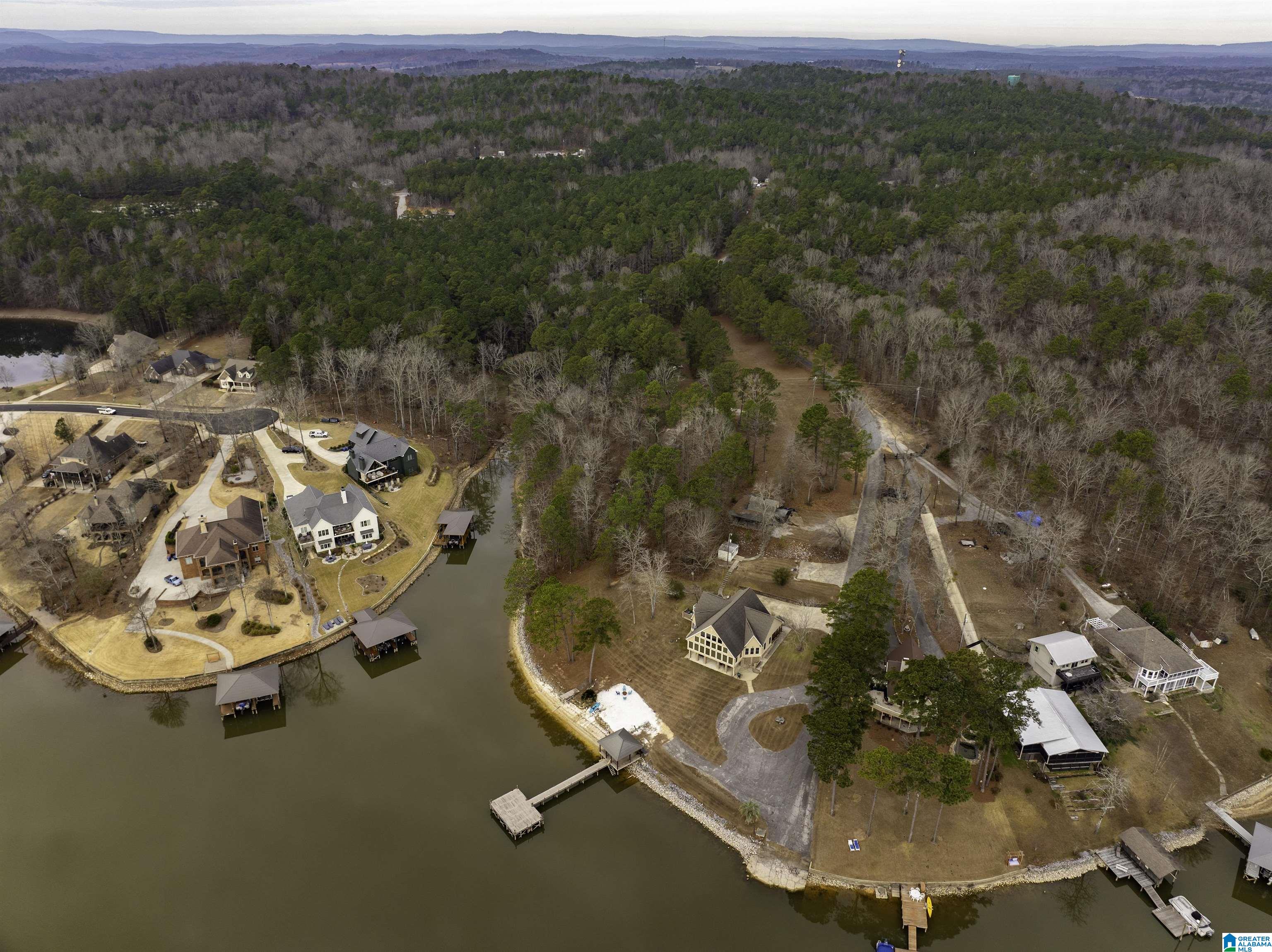 360 Frankies Road Vincent, AL 35178 - Photo 4 of 68