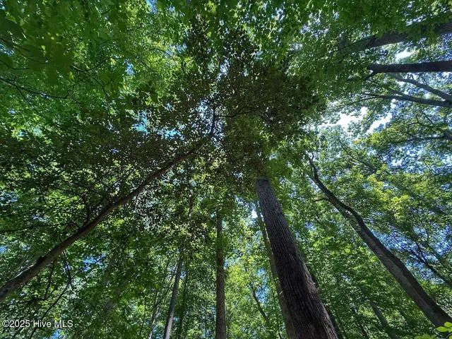 $79,900 | 2216 Woodnell Drive, Raleigh, NC 27603