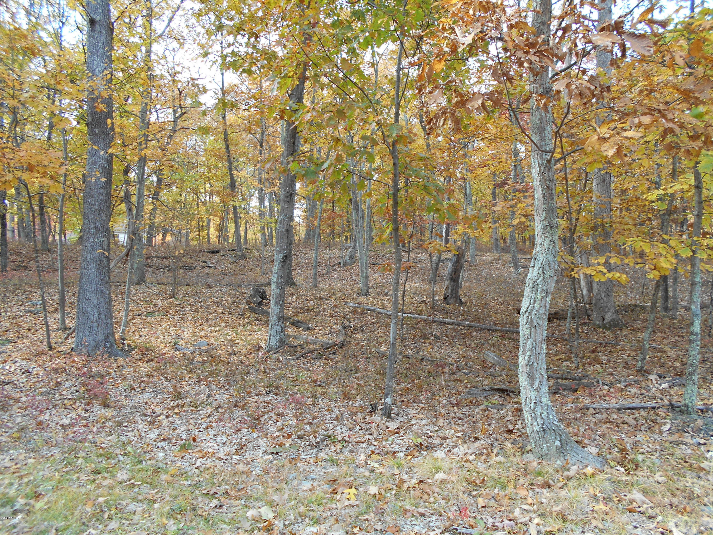 160 Sparrow Loop Bushkill, PA 18324 - Photo 3 of 13 DSCN0025