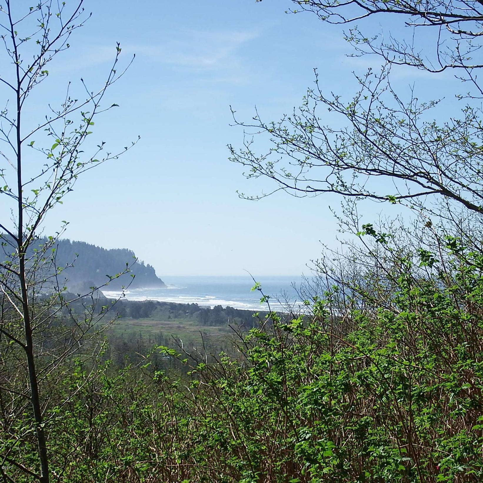 6205 Scherzinger Road Neskowin, OR 97149 - Photo 5 of 88 Property View