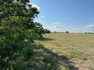 a view of a green field