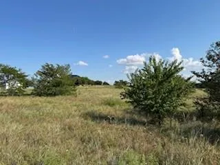 a view of a lake with a tree