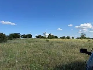 a view of an ocean from a yard