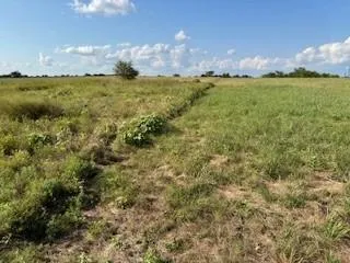 a view of a big yard with large trees