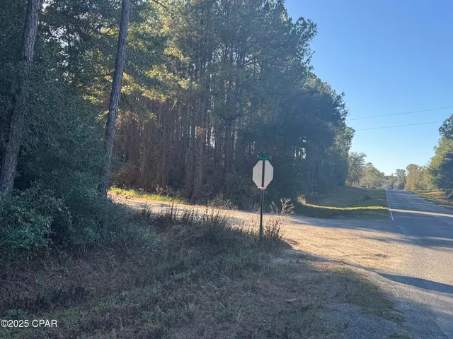 $89,900 | 0 County Road 160, Bonifay, FL 32425