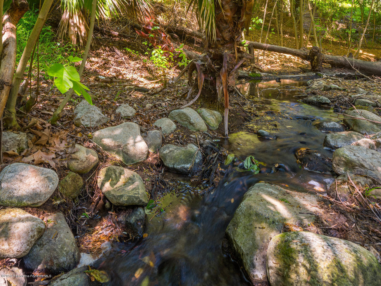 1079 Laguna Road Pasadena, CA 91105 - Photo 23 of 24 1079 Laguna Rd Pasadena CA-large-033-5-S