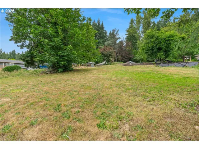 a view of a yard with a tree