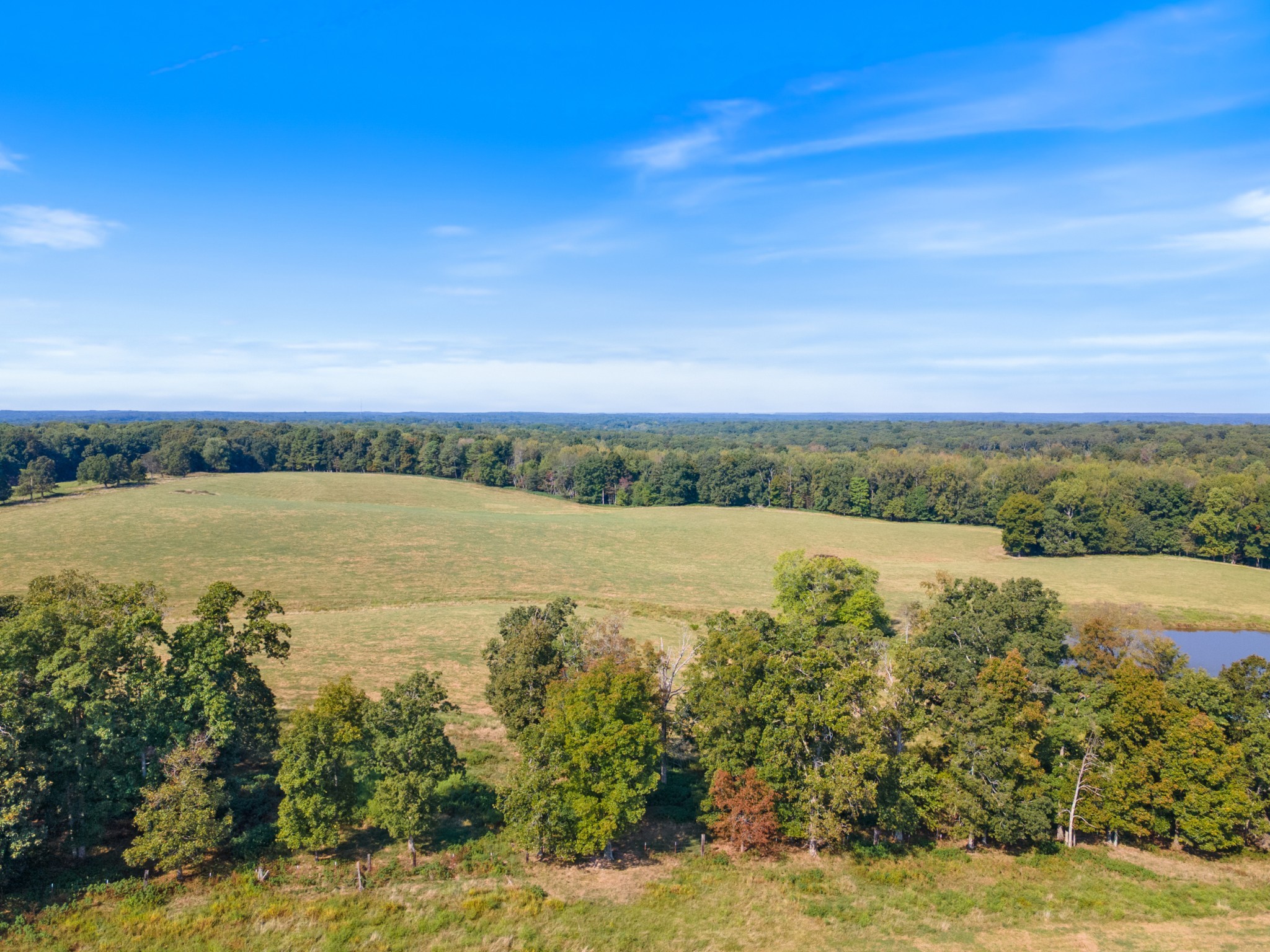 275 Pond Rail Road Dickson, TN 37055 - Photo 46 of 72 Gallery Image 46