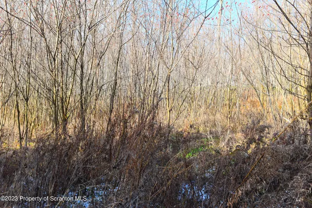 a backyard of a house with lots of green space and wooden fence