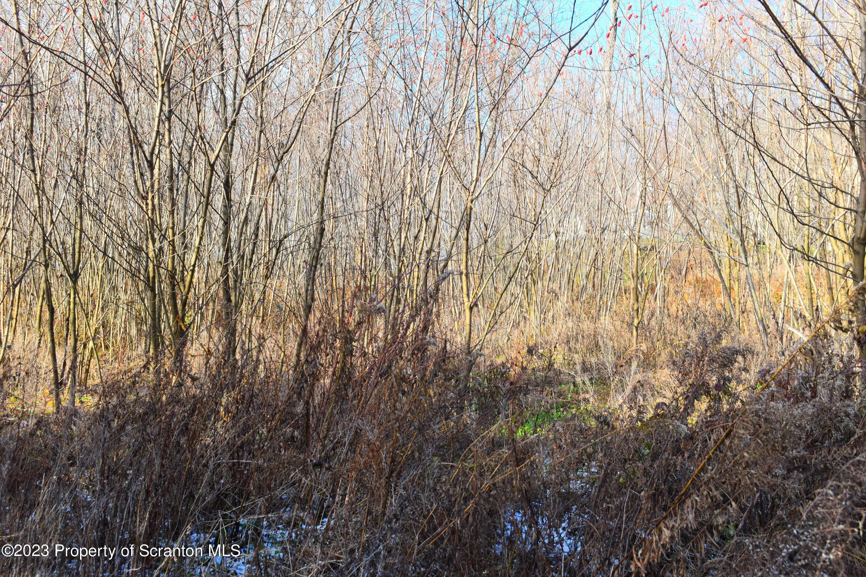 Gary Lane Montrose, PA 18801 - Photo 3 of 10