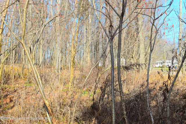 a bathroom with a shower curtain