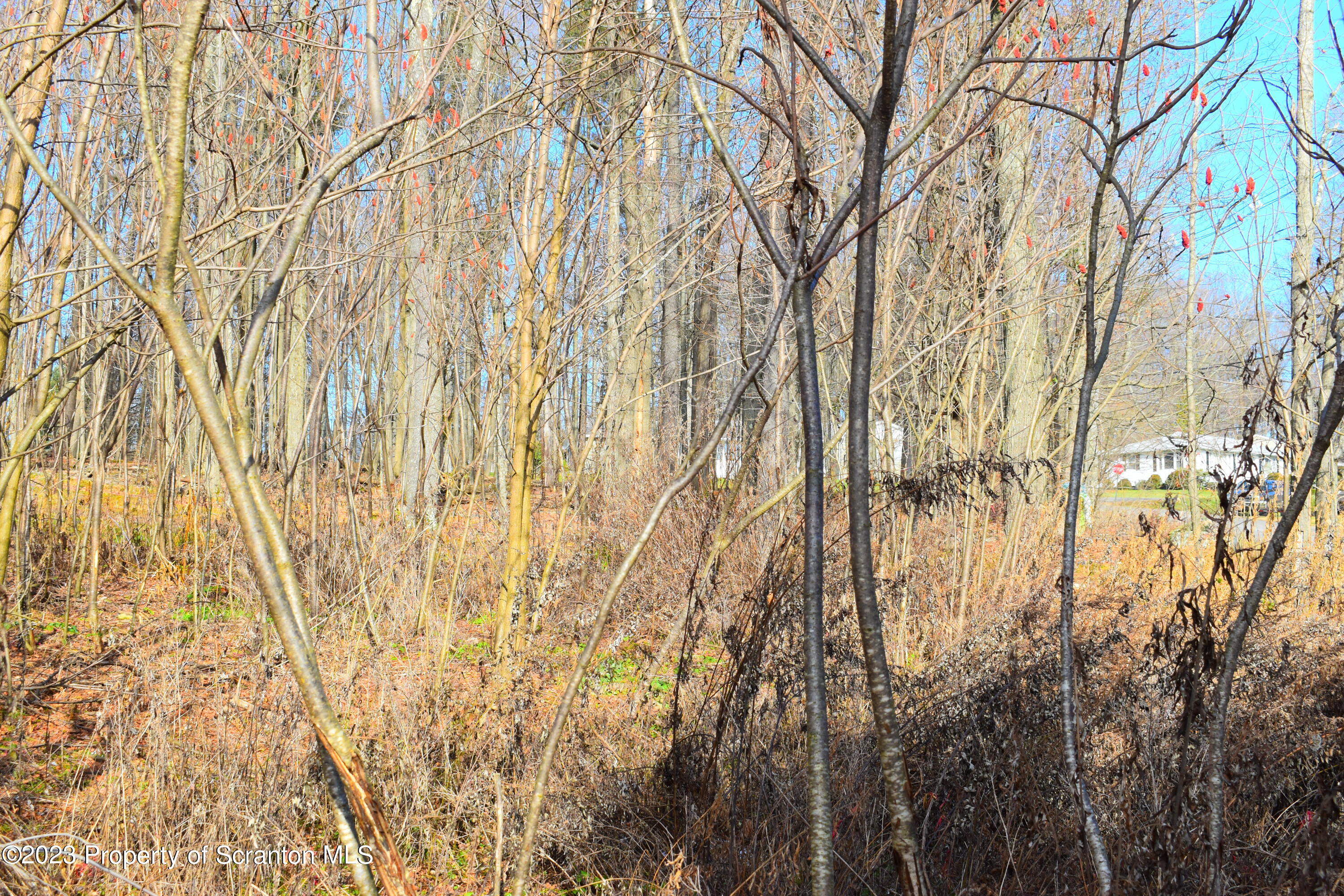 Gary Lane Montrose, PA 18801 - Photo 4 of 10 a backyard of a house with lots of green space and wooden fence