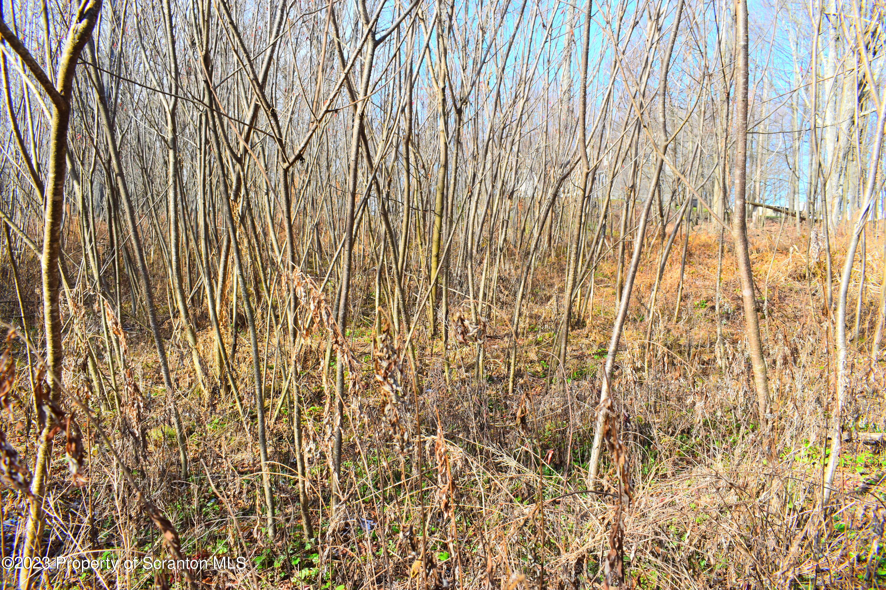 Gary Lane Montrose, PA 18801 - Photo 5 of 10 a bathroom with a shower curtain