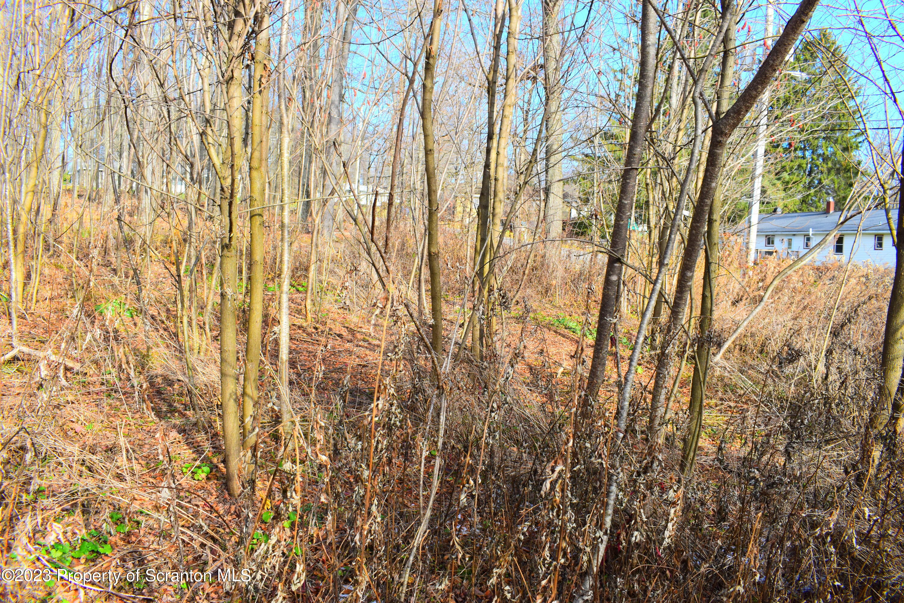 Gary Lane Montrose, PA 18801 - Photo 6 of 10 a view of forest