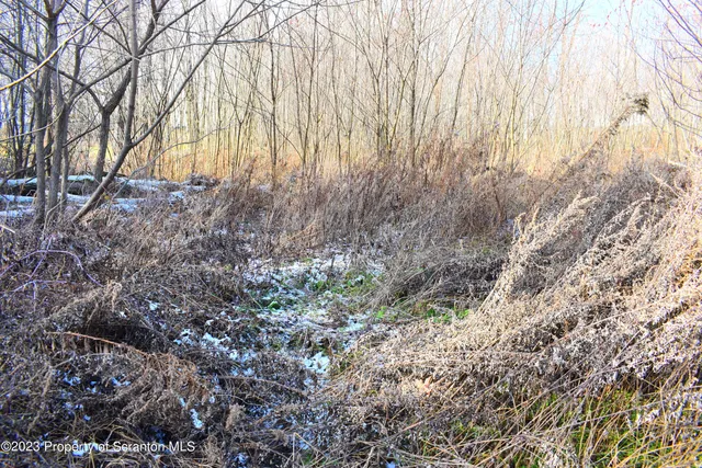 $27,500 | Gary Lane, Montrose, PA 18801