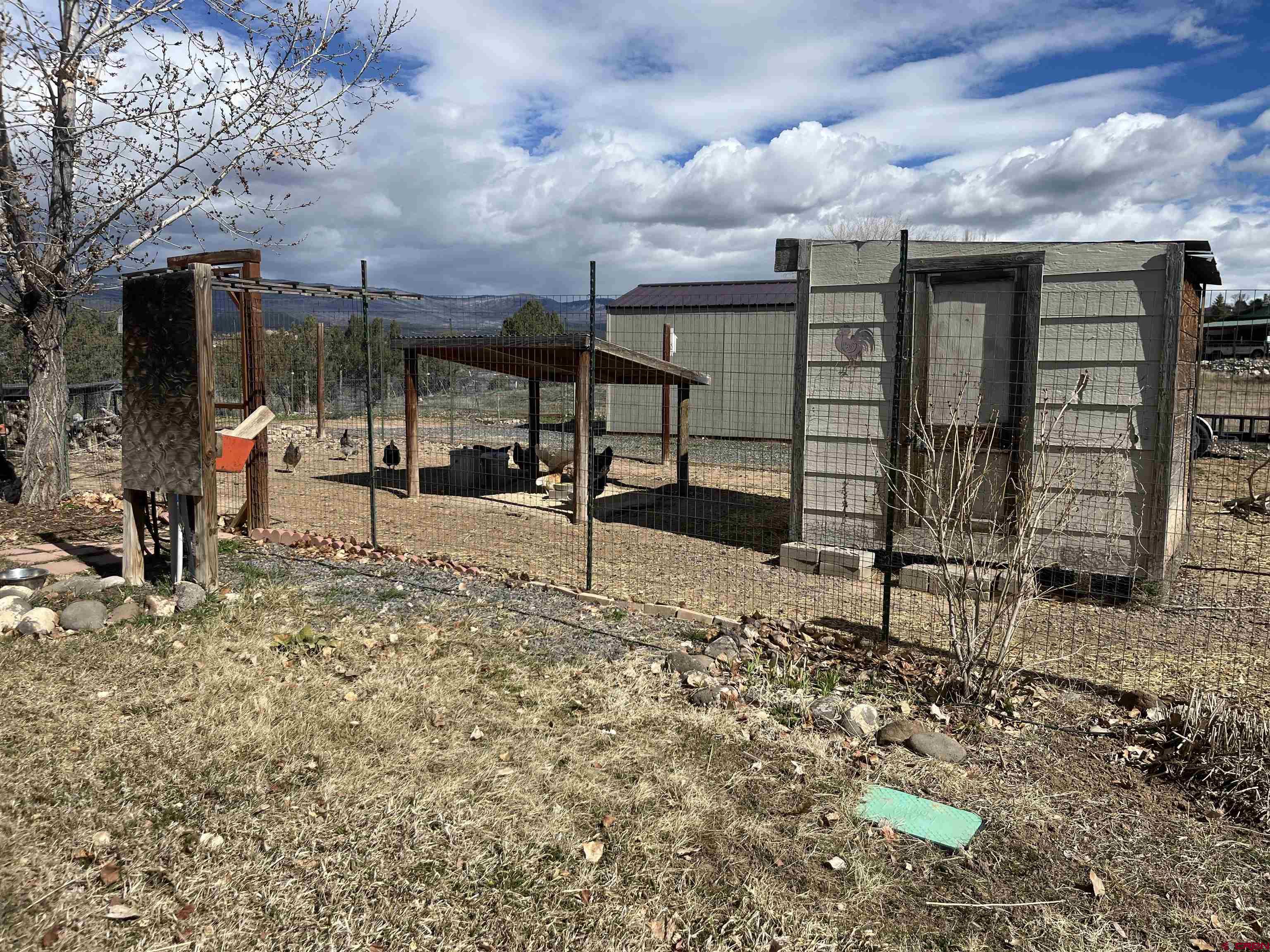 16609 Columbine Lane Cedaredge, CO 81413 - Photo 12 of 39 a view of a house with backyard