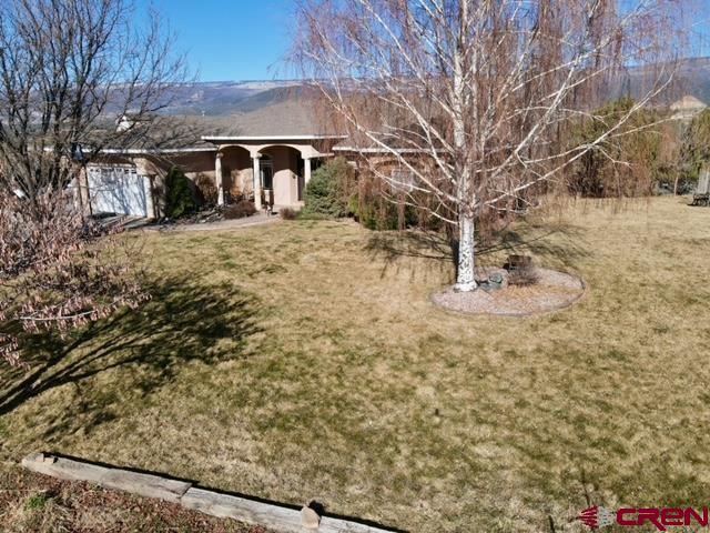 16609 Columbine Lane Cedaredge, CO 81413 - Photo 3 of 39