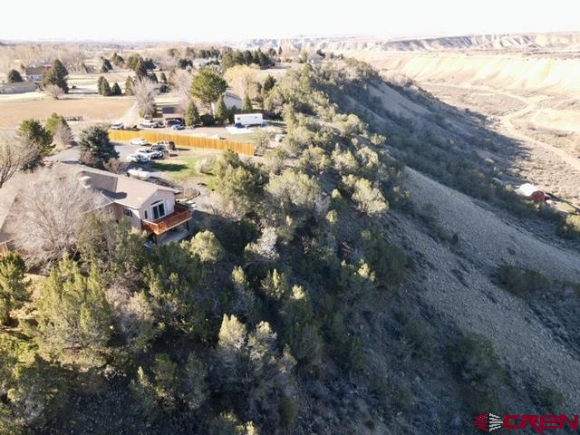 16609 Columbine Lane Cedaredge, CO 81413 - Photo 7 of 39