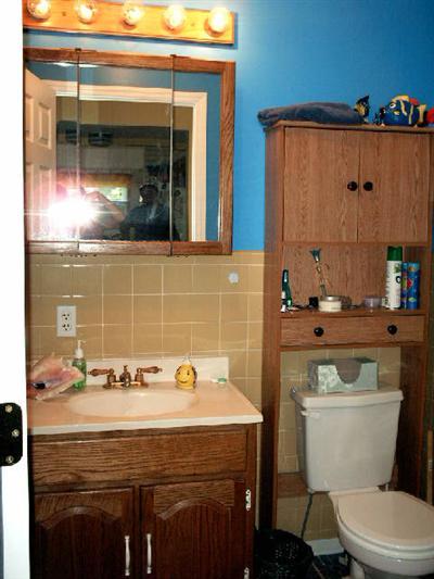33 Castle Drive Springfield, MI 49037 - Photo 13 of 20 Additional Photo