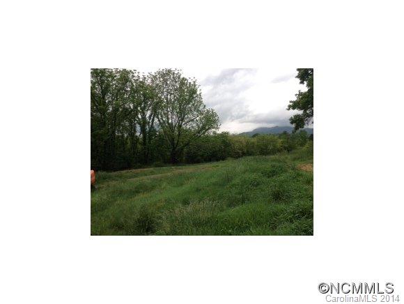 143 Pandora Circle Canton, NC 28716 - Photo 4 of 4