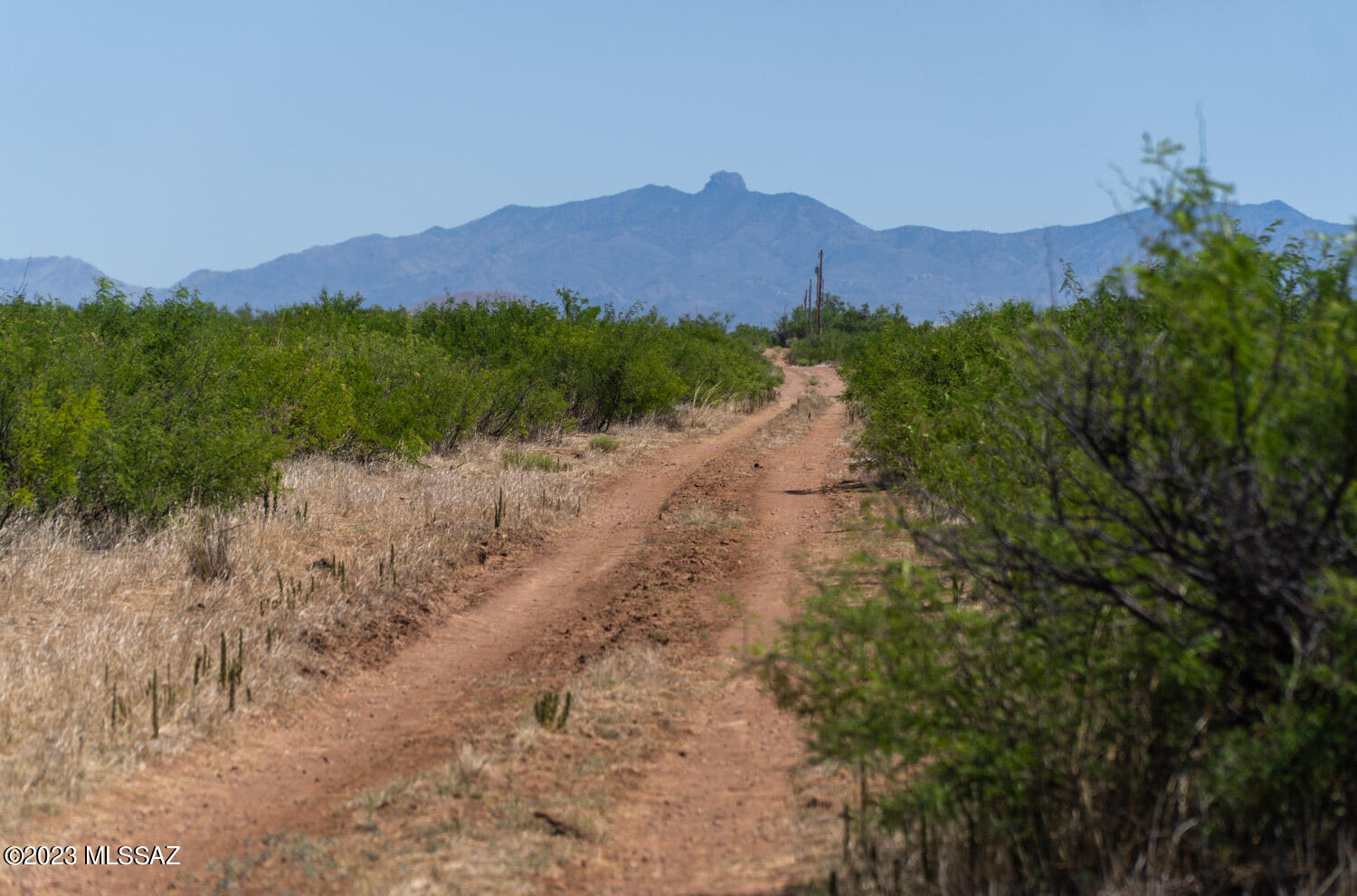 40-acres South Rustic Trail, Unit 138 Pearce, AZ 85625 - Photo 11 of 17