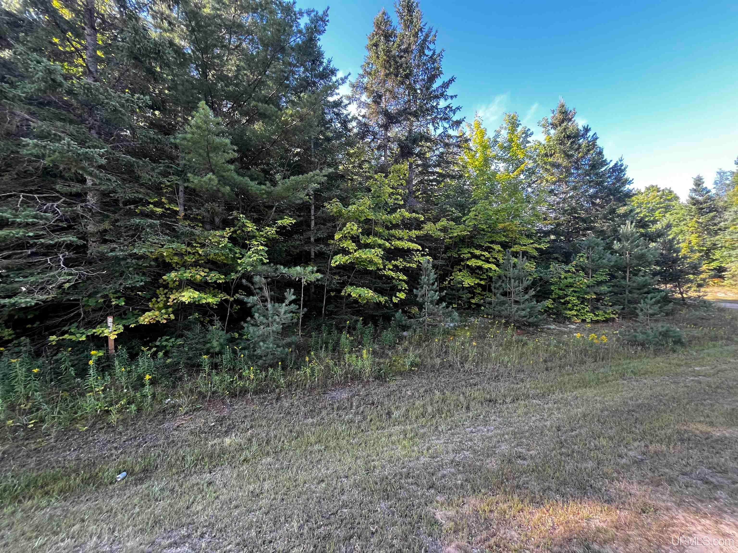 Tbd Ackerman Lake Road Munising, MI 49862 - Photo 17 of 20 Gallery Image 17