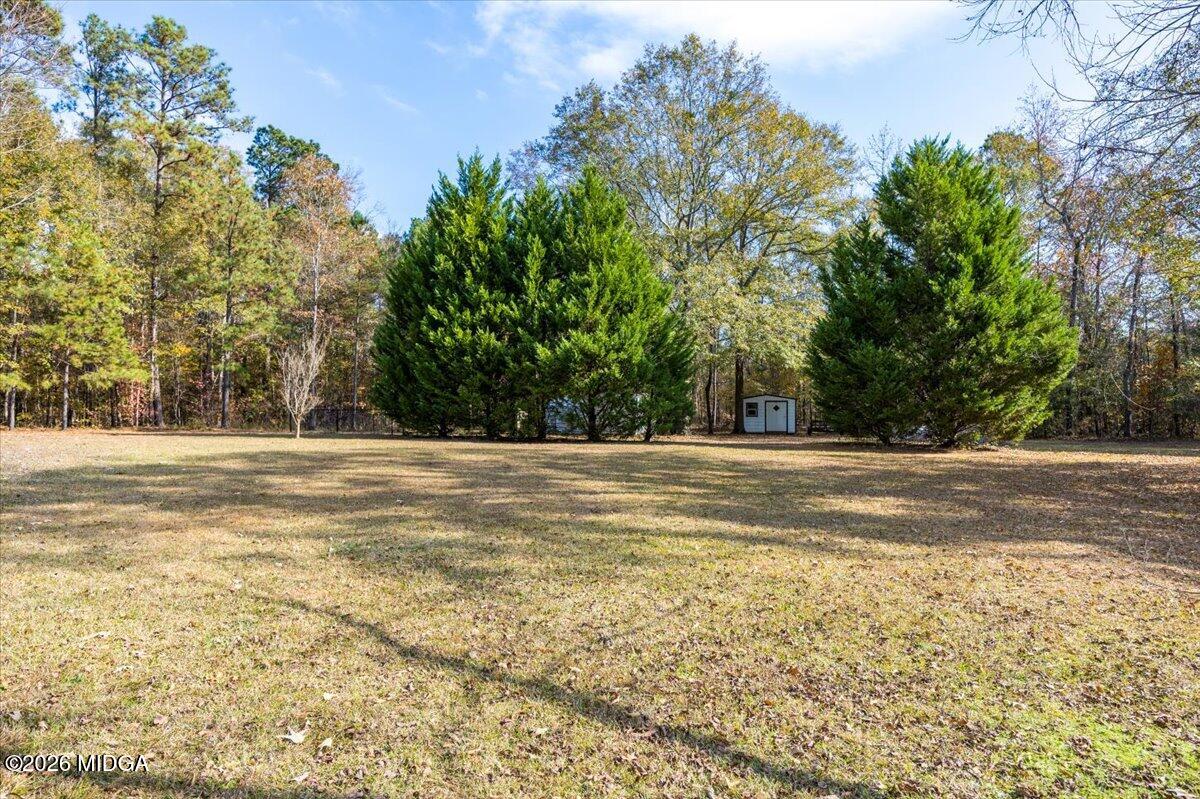 428 Fairview Church Road Forsyth, GA 31029 - Photo 24 of 35 a view of the outdoor space