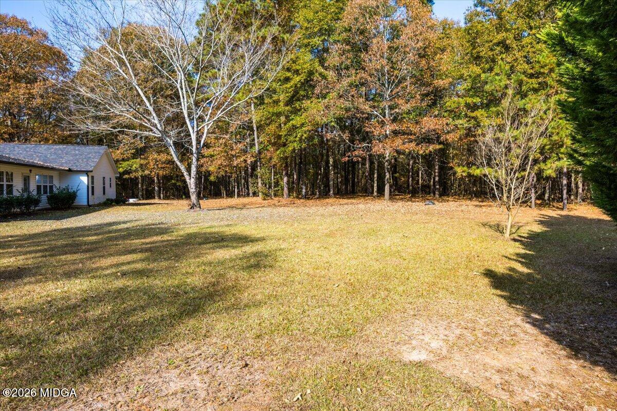 428 Fairview Church Road Forsyth, GA 31029 - Photo 29 of 35 a view of road with large trees