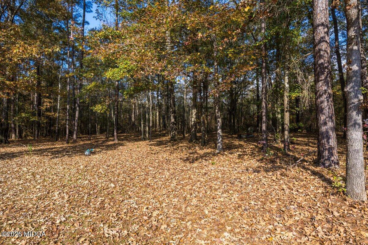 428 Fairview Church Road Forsyth, GA 31029 - Photo 32 of 35 a view of a backyard with large trees