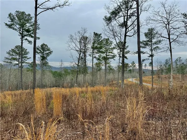 a view of lake