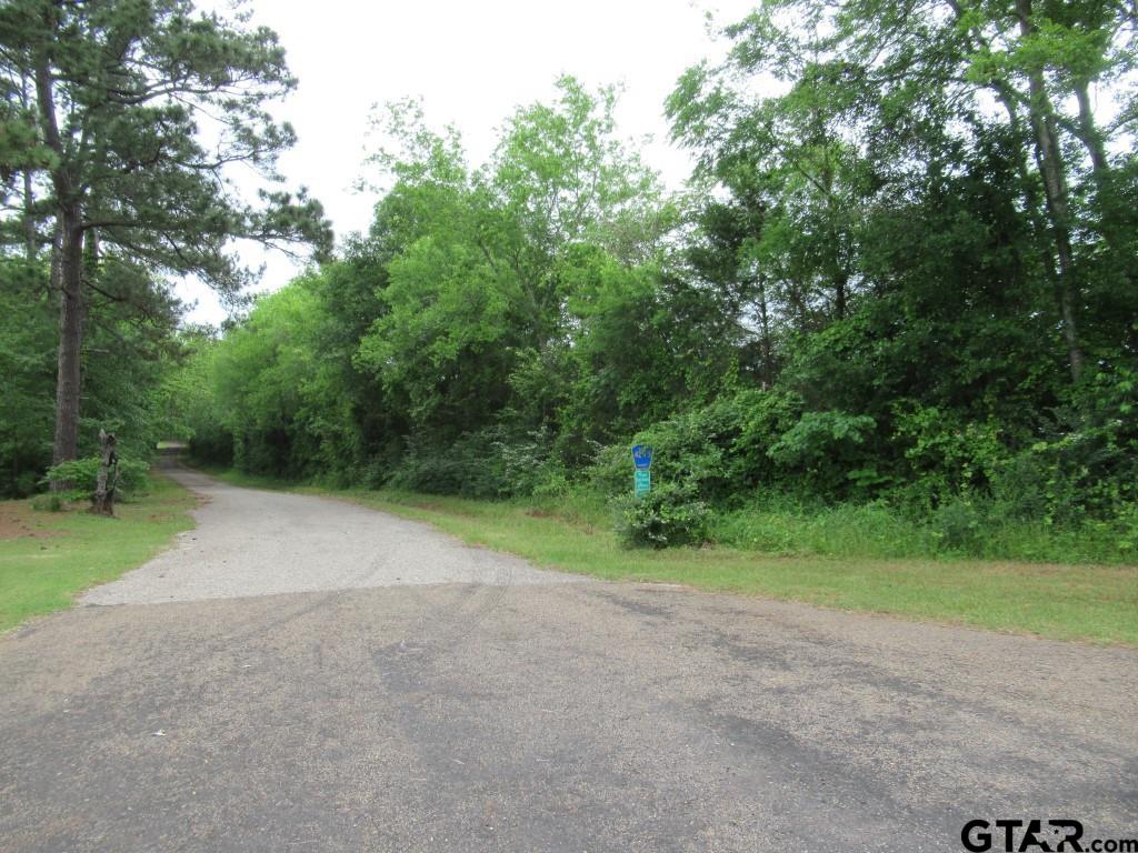 22448 Shady Trail Flint, TX 75762 - Photo 2 of 8 a view of a field with trees in the background