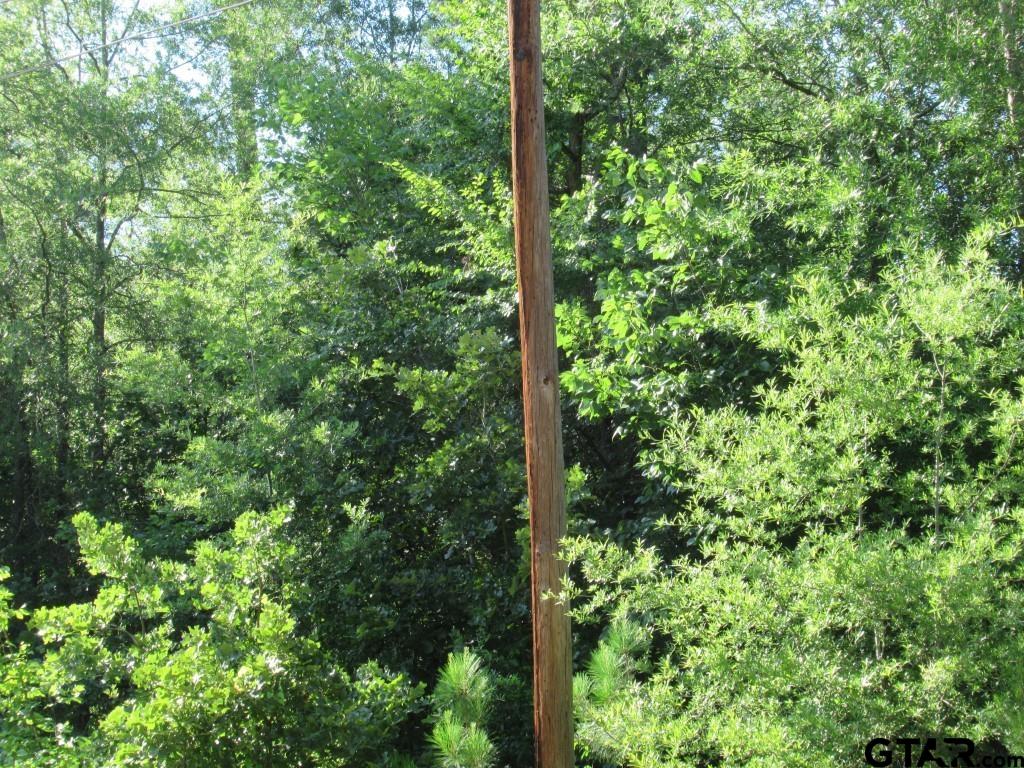 22448 Shady Trail Flint, TX 75762 - Photo 5 of 8 a view of forest