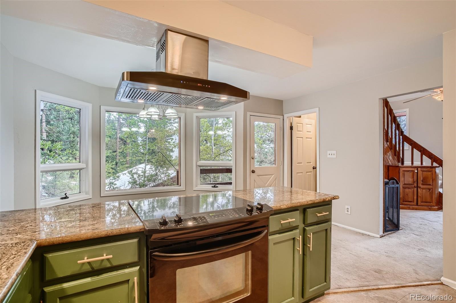 32527 Little Cub Road Evergreen, CO 80439 - Photo 10 of 33