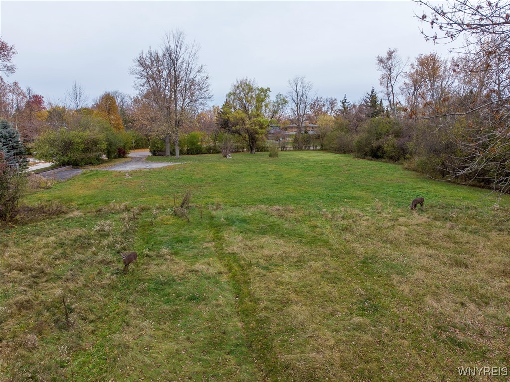 317 Lebrun Road Amherst, NY 14226 - Photo 24 of 27