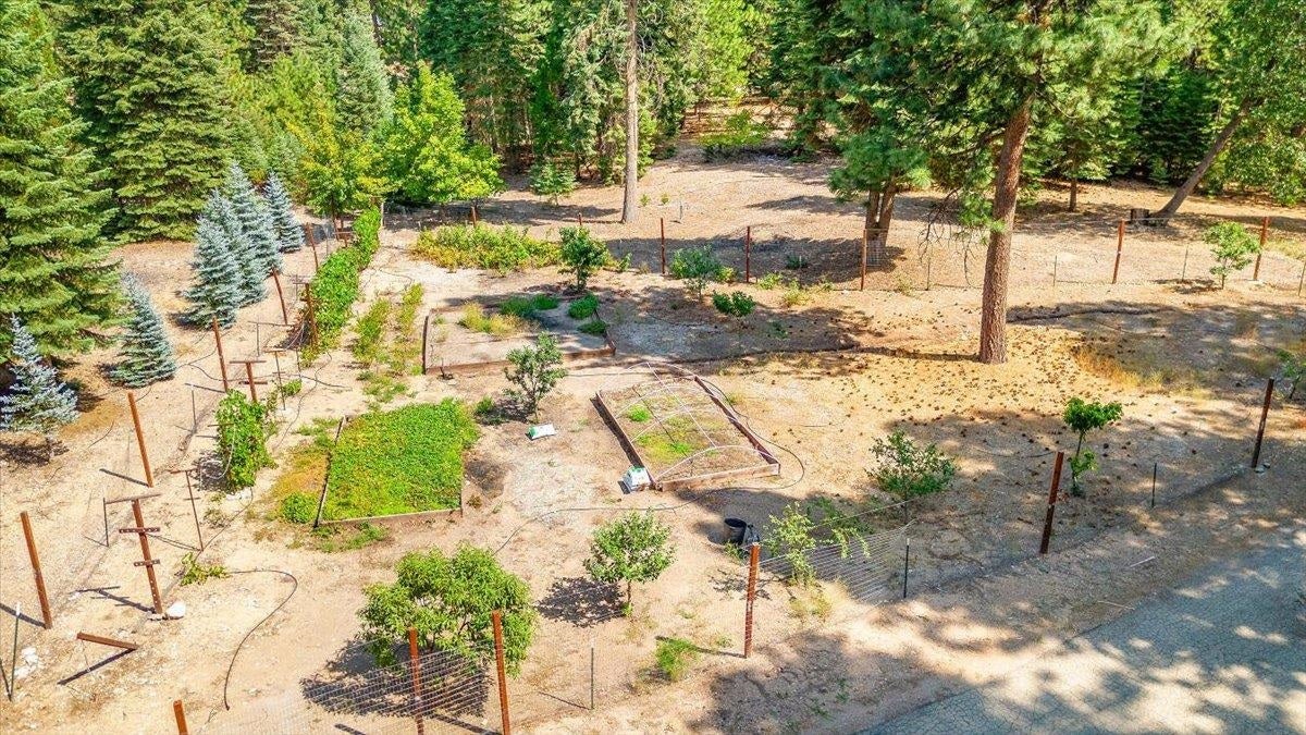 2331 Davis Place Road Mount Shasta, CA 96067 - Photo 33 of 41 Gallery Image 33