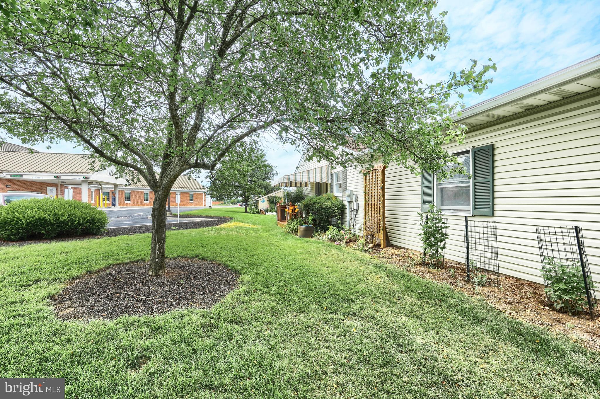 Side yard