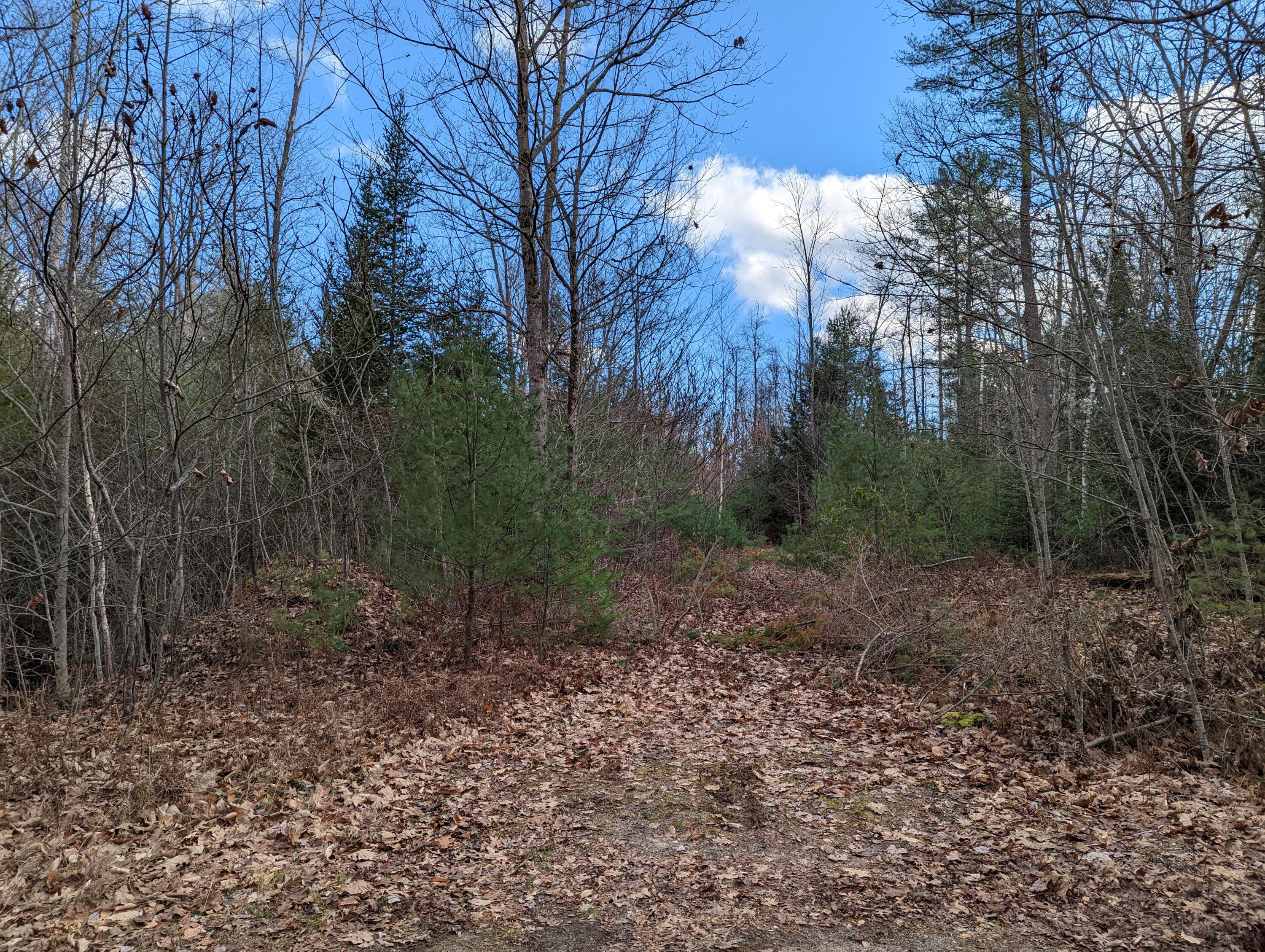 Tbd Gem Way Windham, ME 04062 - Photo 1 of 2 PXL_20221118_174337720