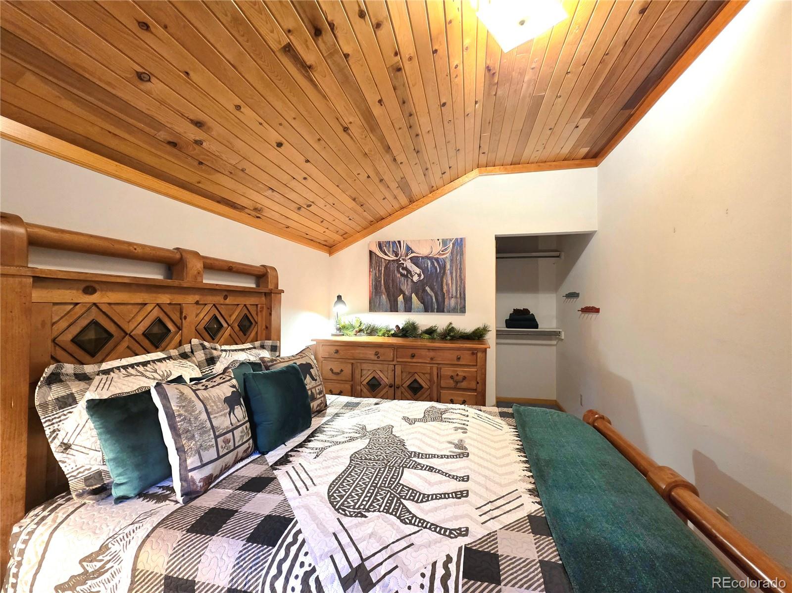 211 Pine Ridge Road Alma, CO 80420 - Photo 26 of 48
