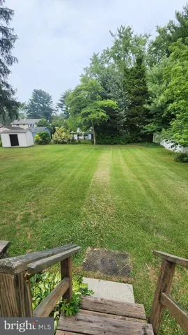 a view of a garden with plants