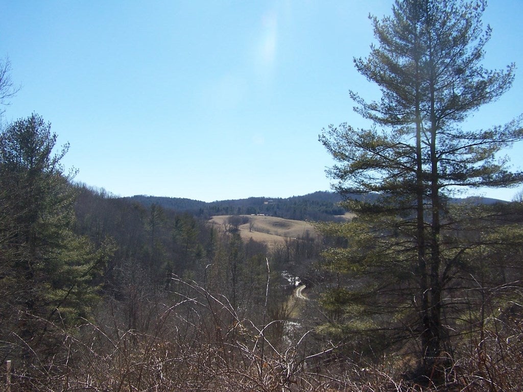 555 Clito Road, Unit 38A6PT Fries, VA 24330 - Photo 46 of 51 Gallery Image 46