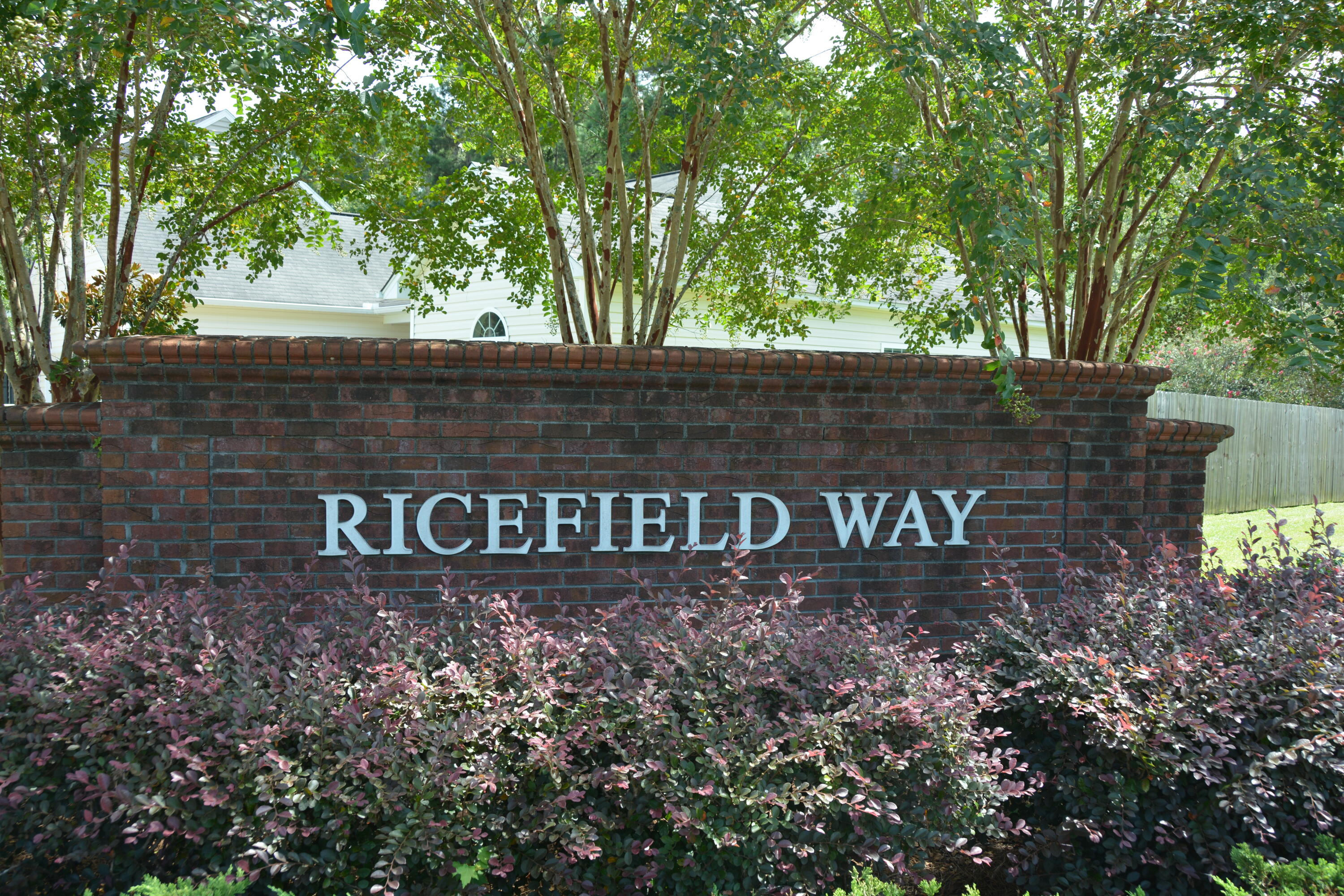 158 Harvest Moon Road Moncks Corner, SC 29461 - Photo 14 of 20 Ricefield Way