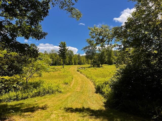 20+/- acres