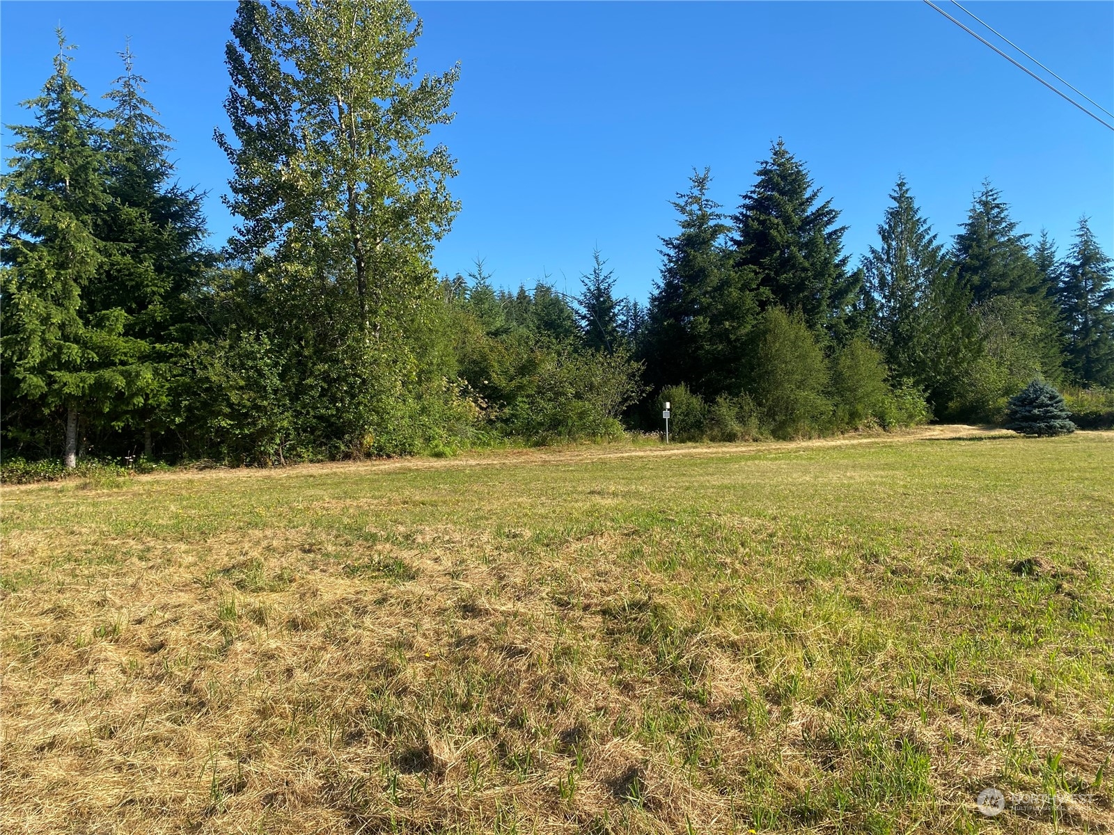 148 Ramsey Road Chehalis, WA 98532 - Photo 4 of 30 a view of outdoor space with trees