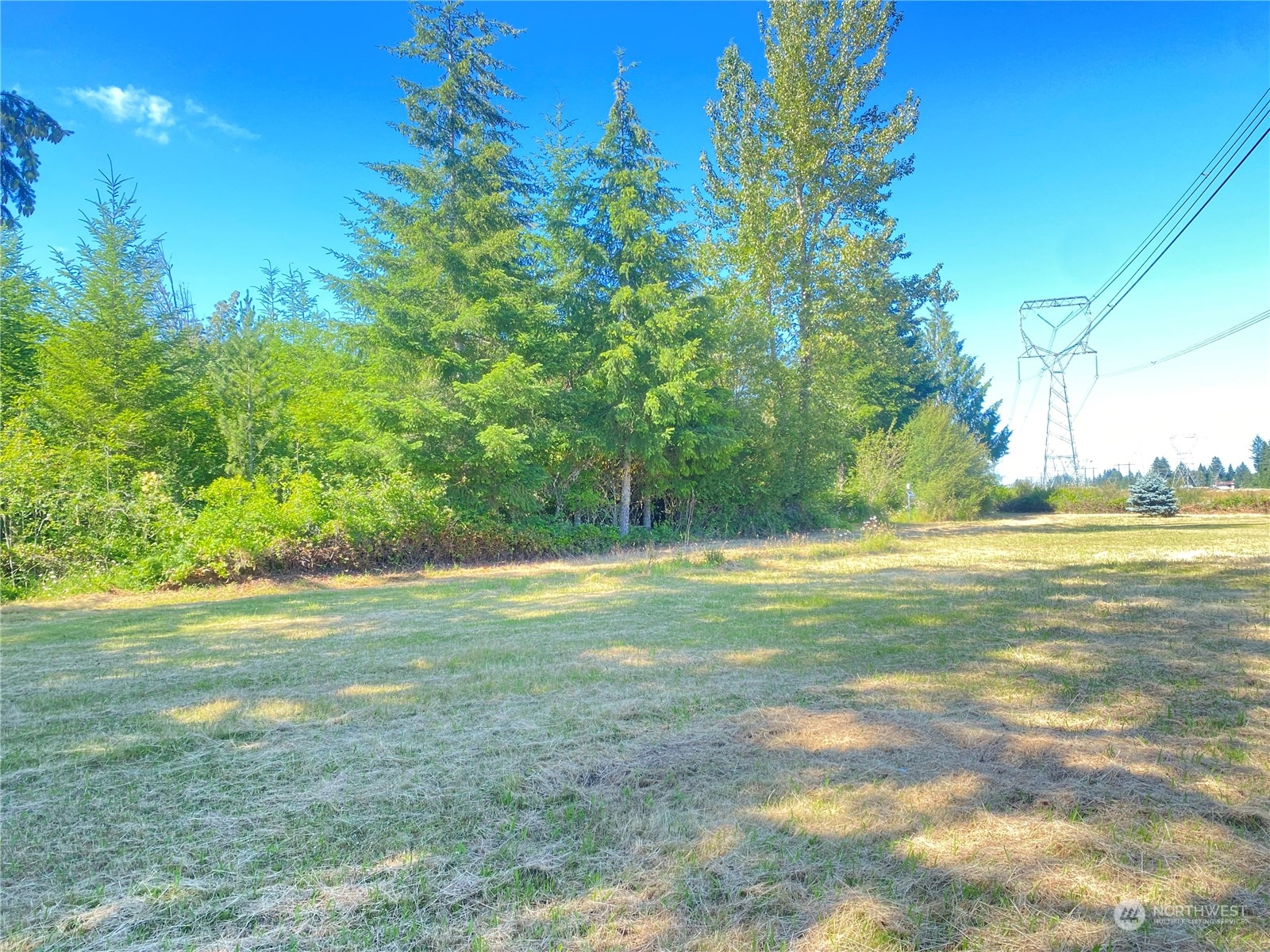 148 Ramsey Road Chehalis, WA 98532 - Photo 5 of 30 a view of a field with an trees