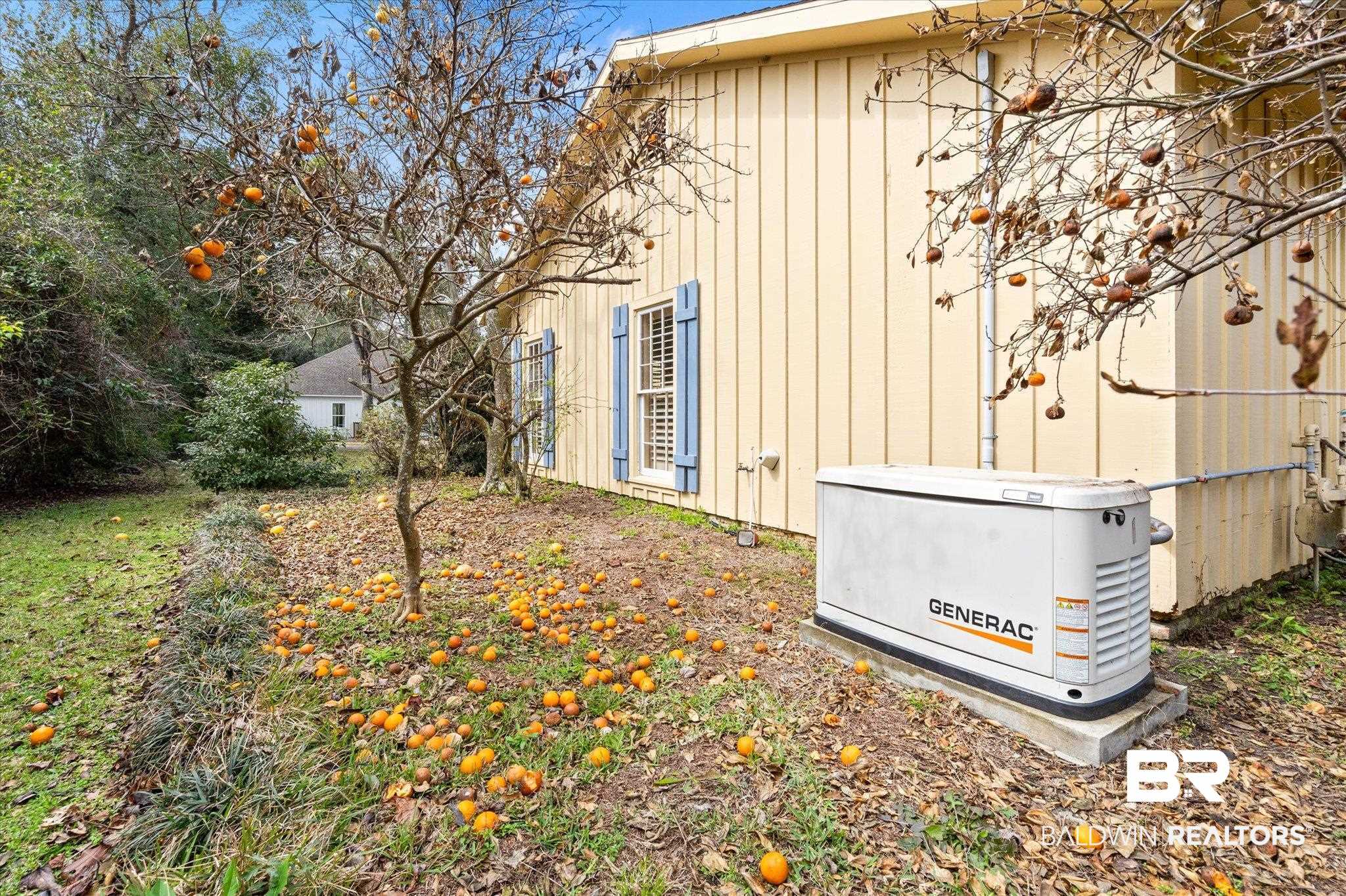 406 Maple Street Fairhope, AL 36532 - Photo 29 of 30 Generator