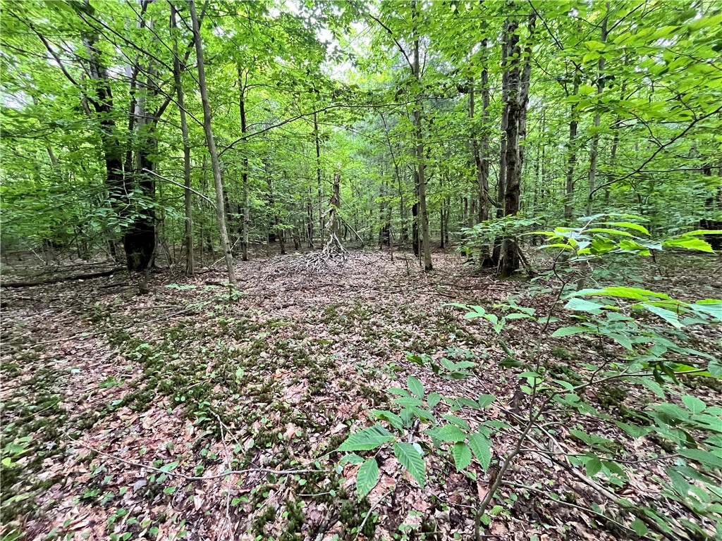 117 Albion Cross Road Parish, NY 13131 - Photo 23 of 34 Gallery Image 23