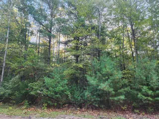 $6,411 | 6842 White Pine Drive, Stanwood, MI 49346