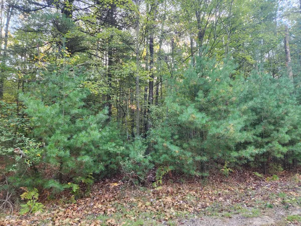 $5,911 | 6842 White Pine Drive, Canadian Lakes, MI 49346