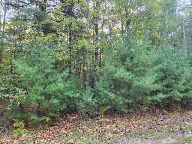 $6,411 | 6842 White Pine Drive, Stanwood, MI 49346