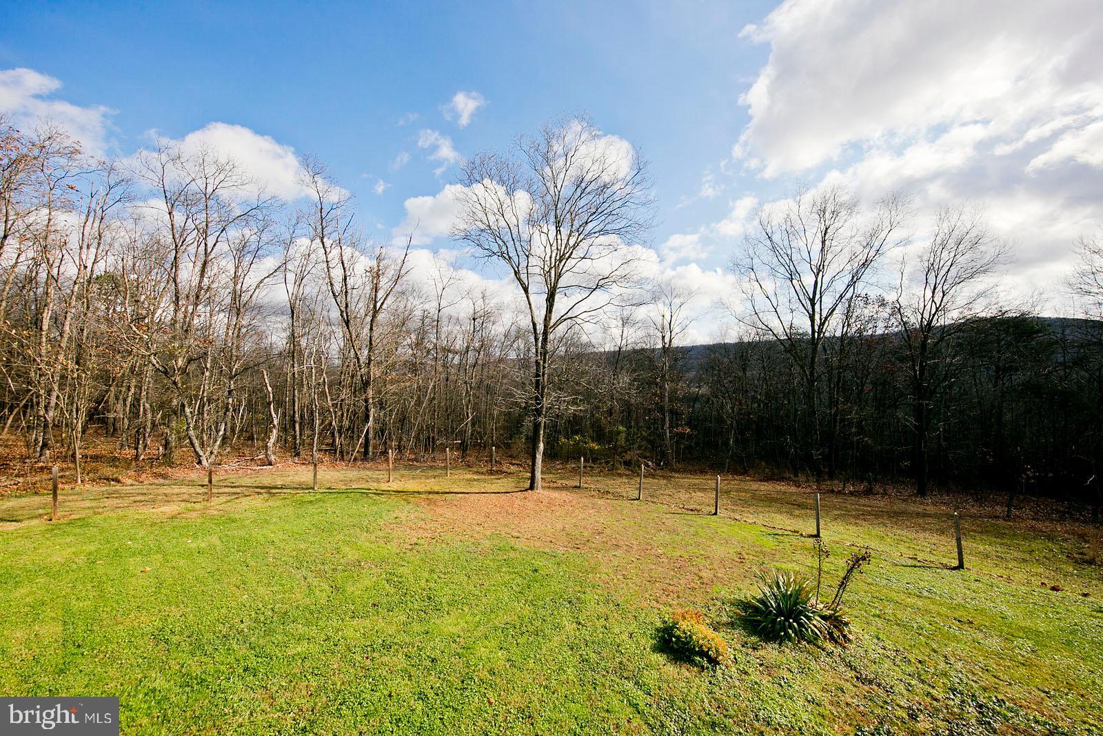 1574 Reynolds Road Cross Junction, VA 22625 - Photo 21 of 44 10 acres!